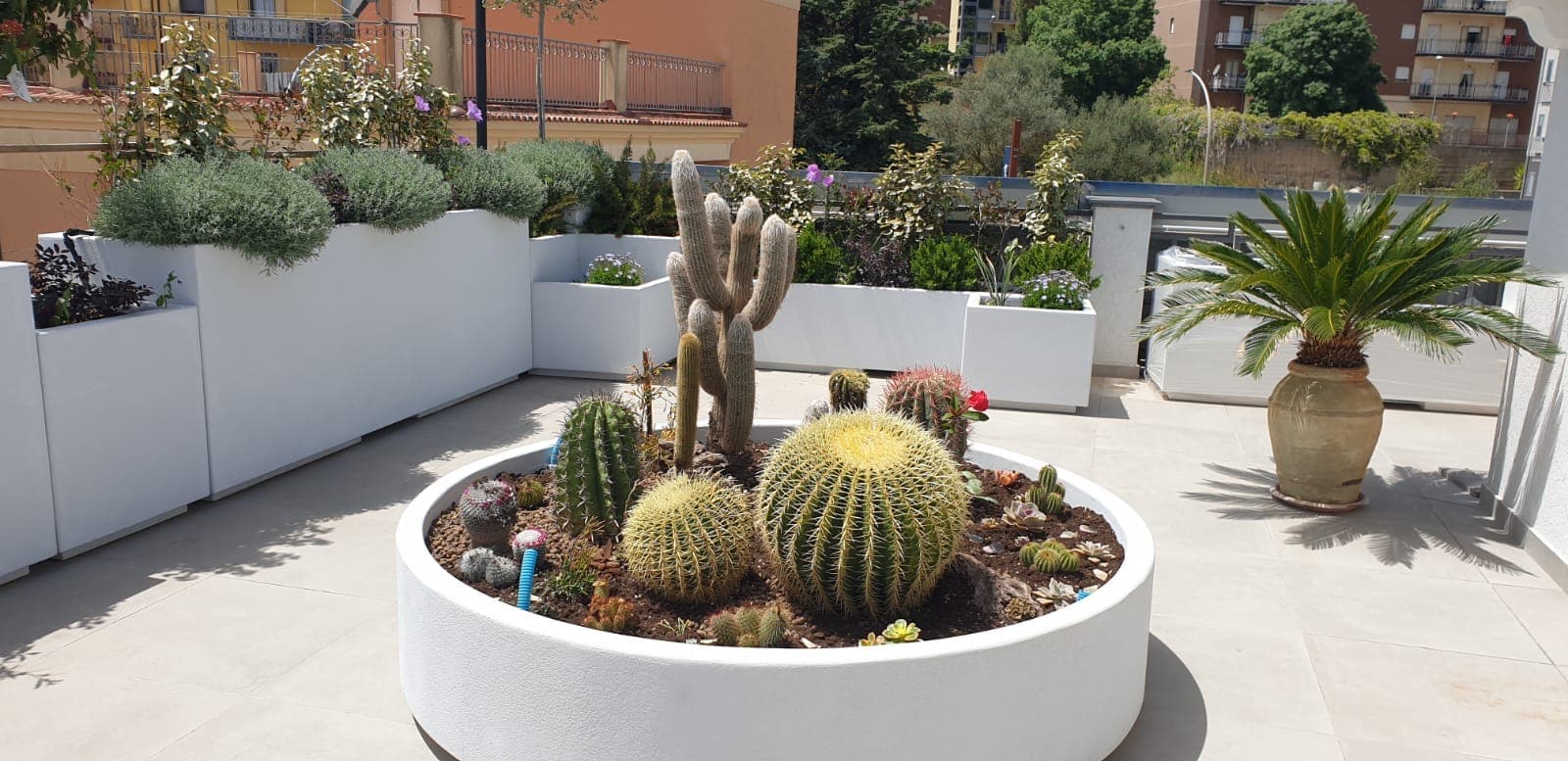 Fioriera tonda bianca con cactus al centro di una terrazza