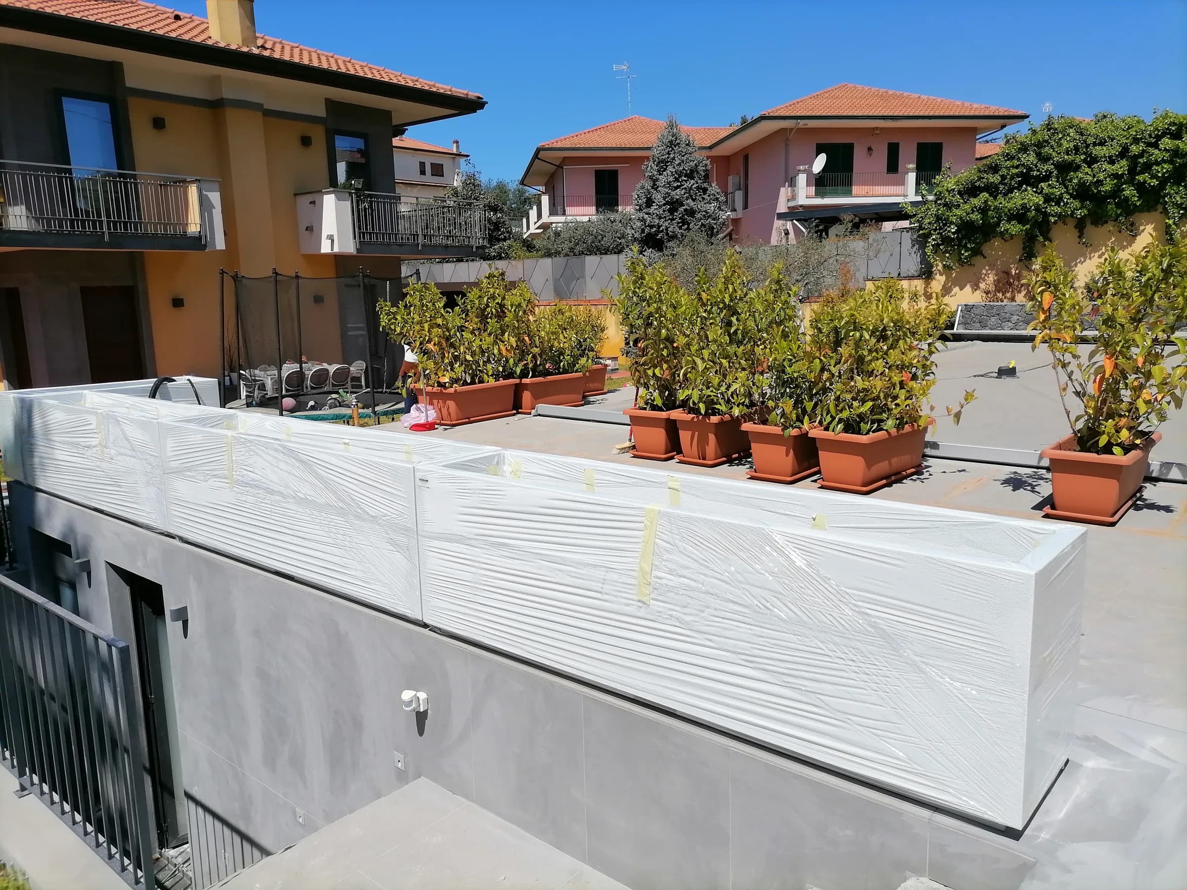 Fioriere parapetto imballate con vasi di agrumi su una terrazza